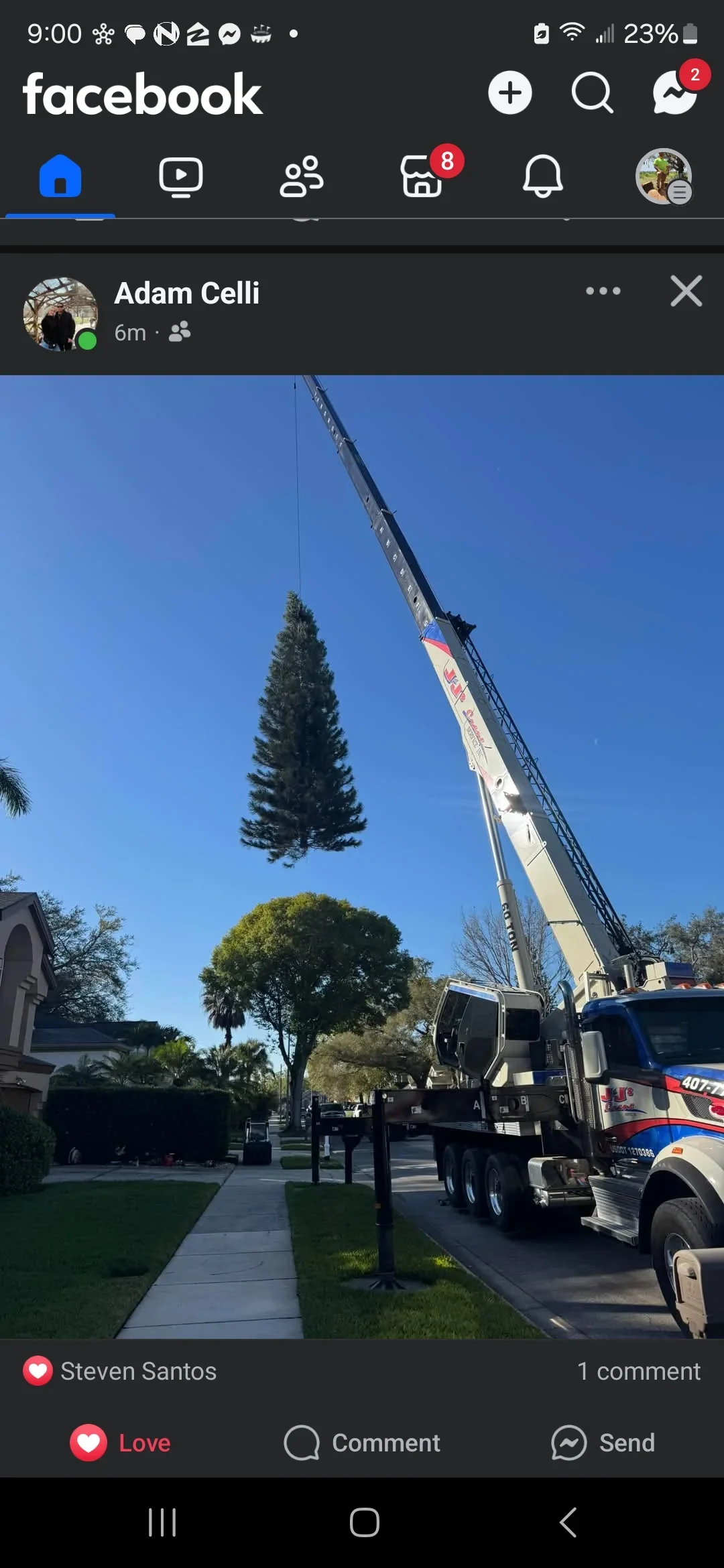 Crane truck removing large pine tree in residential Deltona neighborhood